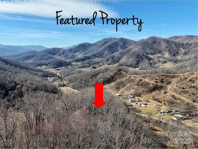 Listing photo 2 for 00 Wilson Cove Rd, Canton NC 28716