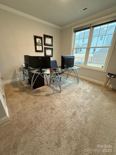 carpeted office space with ornamental molding