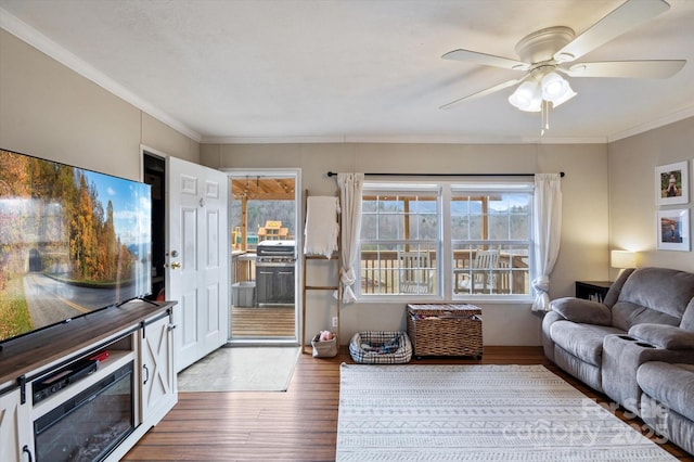 living room featuring hardwood / wood-style flooring, ornamental molding, and ceiling fan