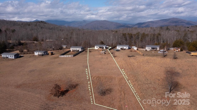 bird's eye view featuring a mountain view