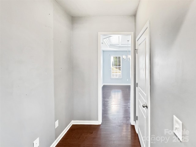 hall featuring a notable chandelier and dark hardwood / wood-style flooring