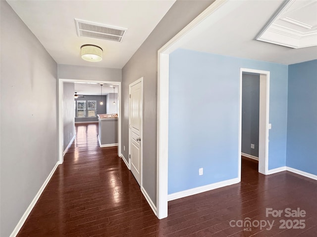 corridor featuring dark hardwood / wood-style floors