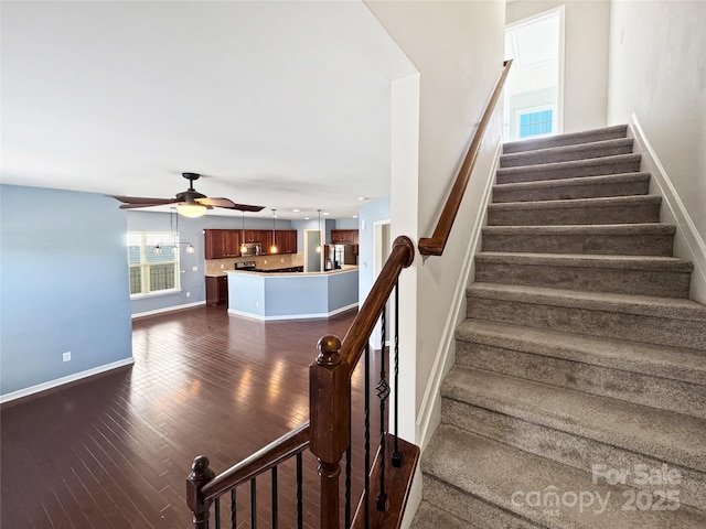 stairs with hardwood / wood-style flooring and ceiling fan