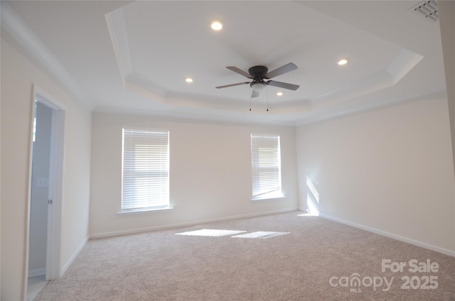 spare room with crown molding, a raised ceiling, and a healthy amount of sunlight