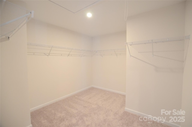 spacious closet with carpet