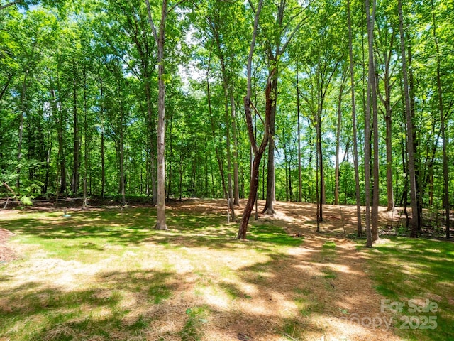 view of yard with a wooded view
