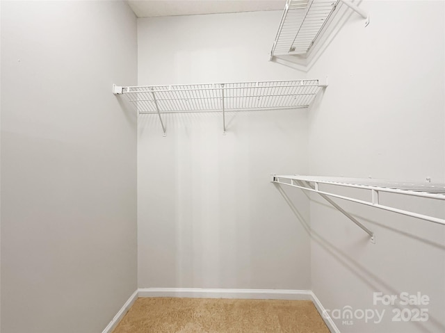 view of walk in closet