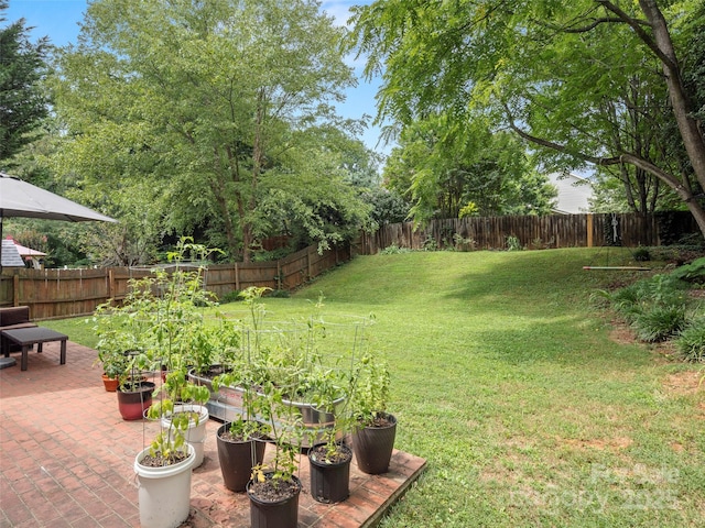 view of yard with a patio