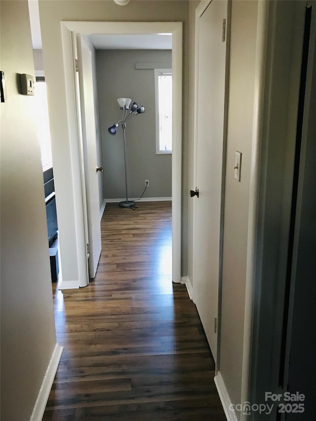 hall featuring dark hardwood / wood-style flooring