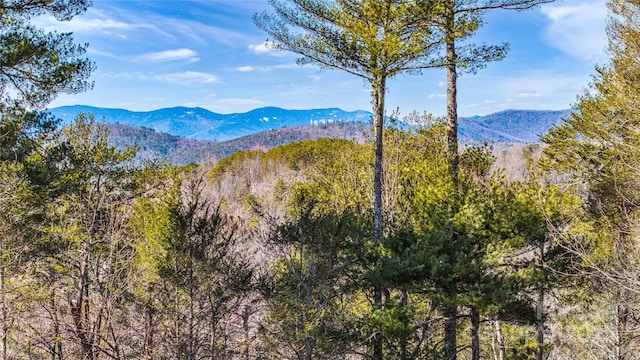 property view of mountains