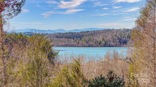 water view with a mountain view