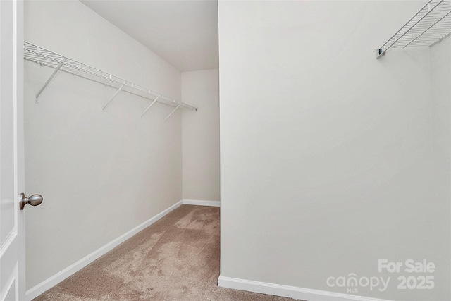 spacious closet featuring light colored carpet