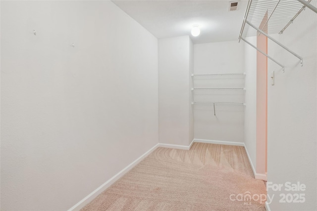 walk in closet with light colored carpet