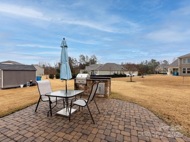 view of patio / terrace with grilling area and exterior kitchen