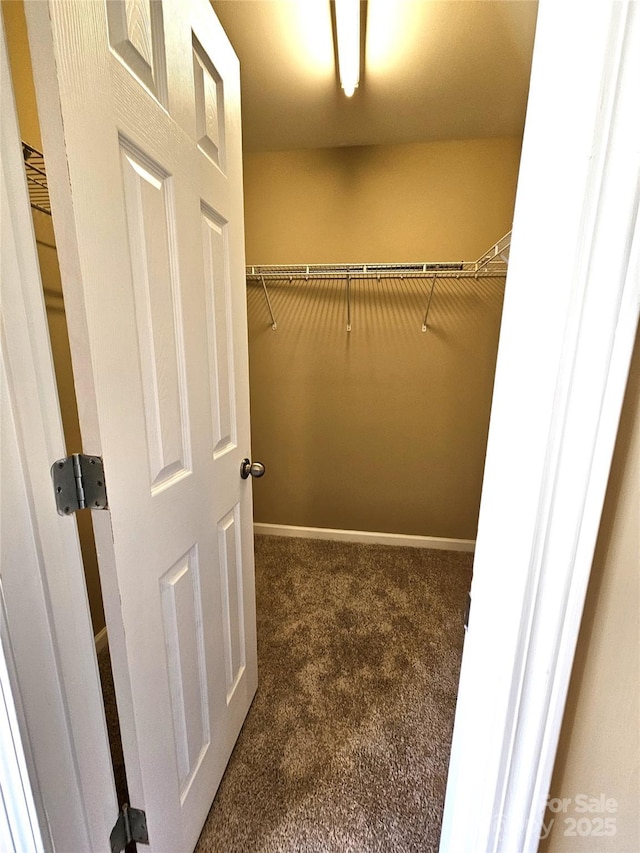 walk in closet featuring carpet