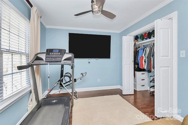 exercise room with crown molding, dark wood-type flooring, and ceiling fan