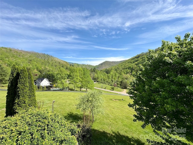 mountain view with a view of trees and a rural view