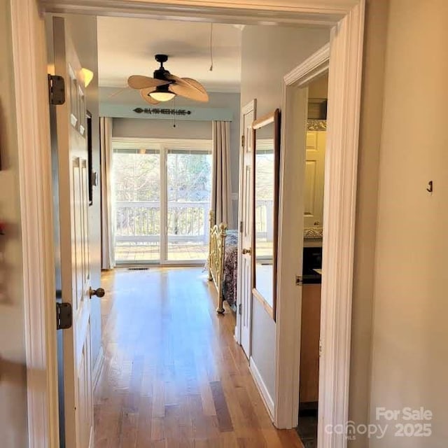 hall with wood finished floors
