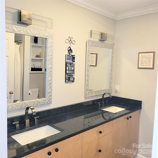full bathroom featuring a sink, crown molding, and double vanity