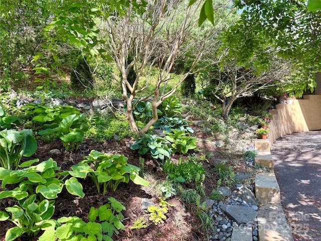exterior space