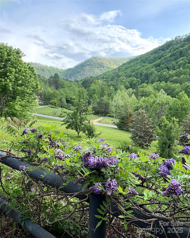 view of home's community with a mountain view and a forest view