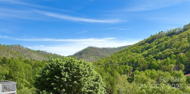 105 Elm Dr, Asheville, NC 28805 - photo 3
