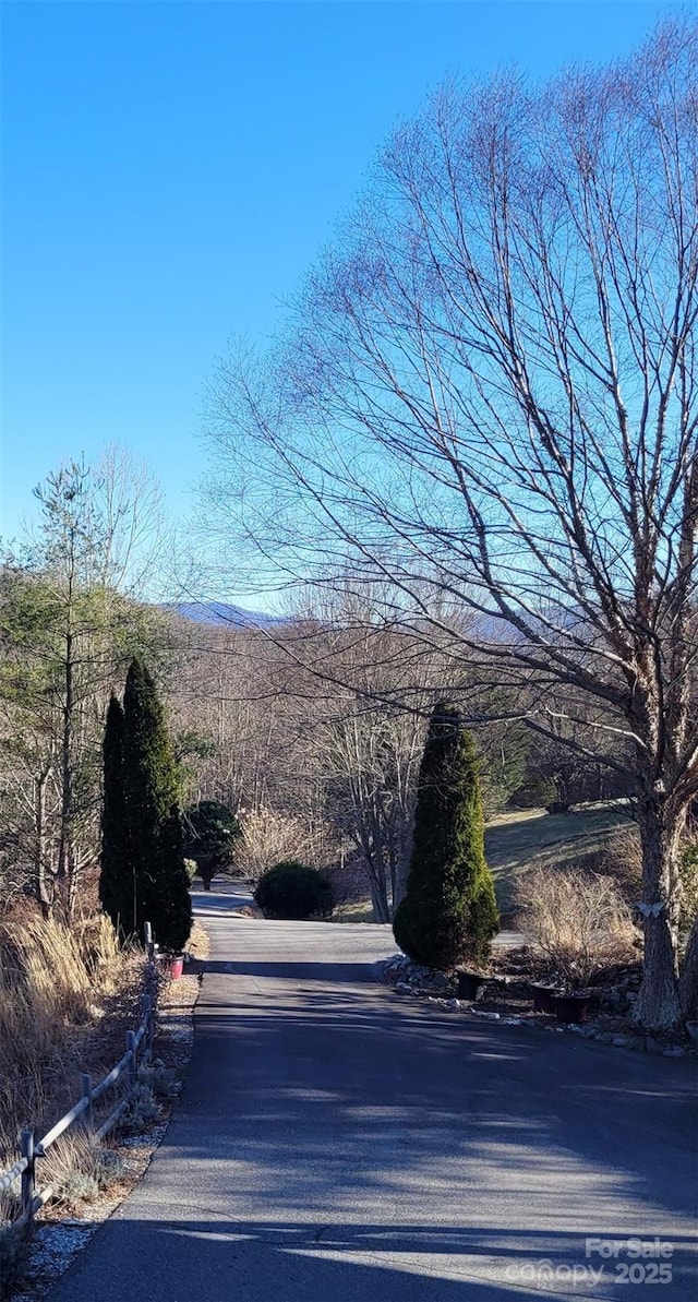 105 Elm Dr, Asheville, NC 28805 - photo 5