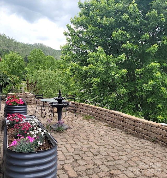 105 Elm Dr, Asheville, NC 28805 - photo 6