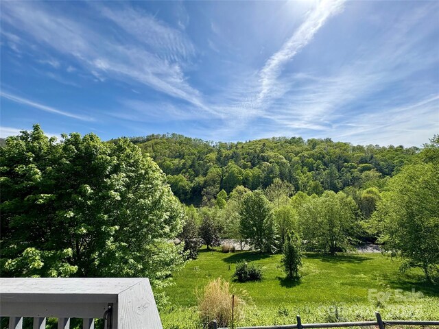 105 Elm Dr, Asheville, NC 28805 - photo 9