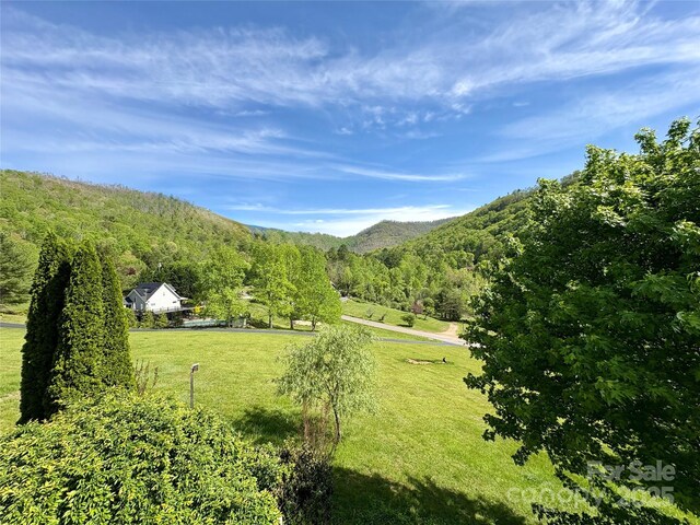 105 Elm Dr, Asheville, NC 28805 - photo 12