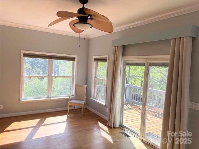 105 Elm Dr, Asheville, NC 28805 - photo 18