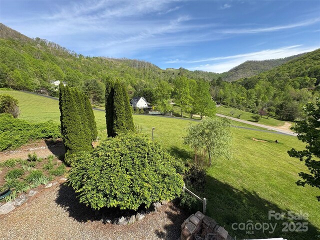 105 Elm Dr, Asheville, NC 28805 - photo 35
