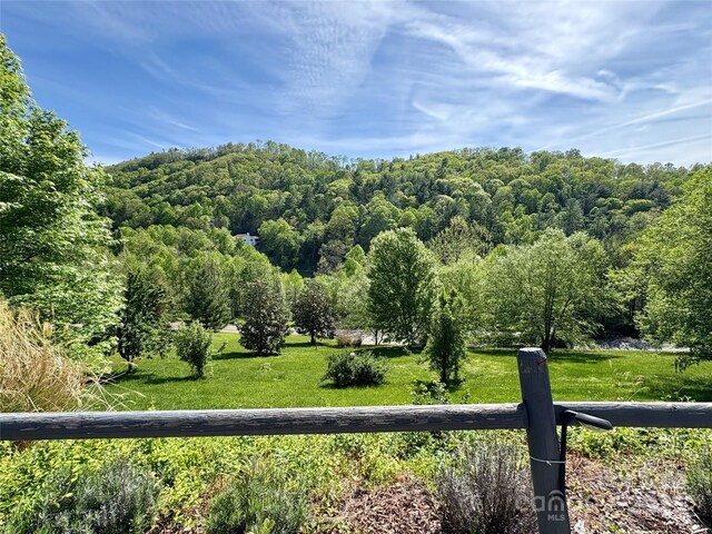 105 Elm Dr, Asheville, NC 28805 - photo 37