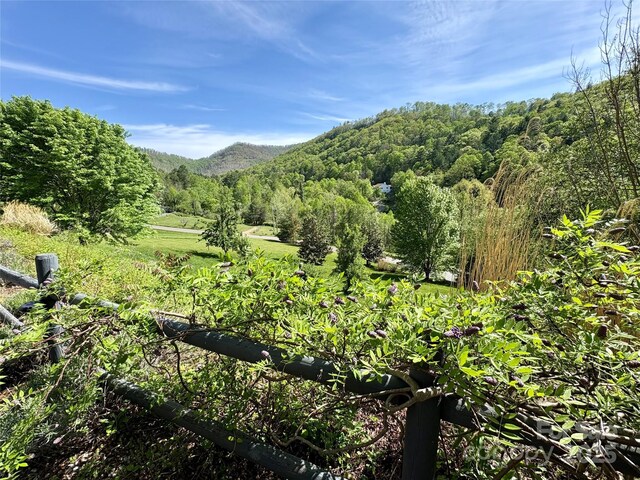 105 Elm Dr, Asheville, NC 28805 - photo 38