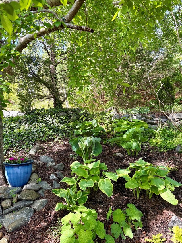 105 Elm Dr, Asheville, NC 28805 - photo 39