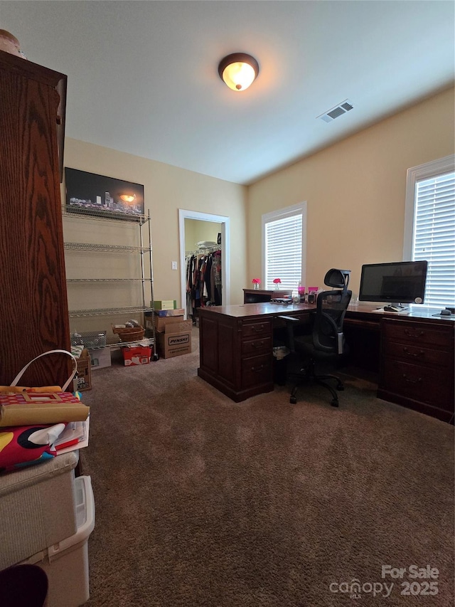 home office featuring carpet floors