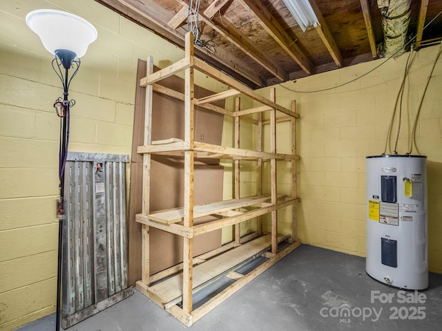 basement with electric water heater