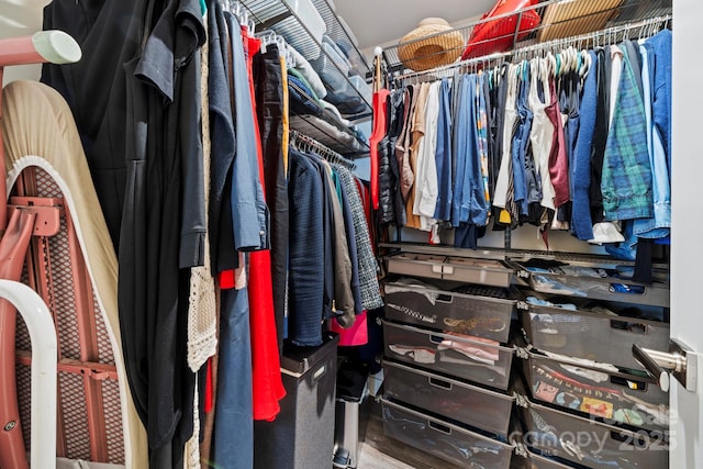 view of spacious closet