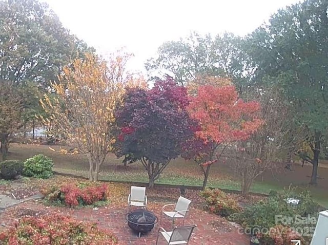 view of yard featuring a patio and a fire pit