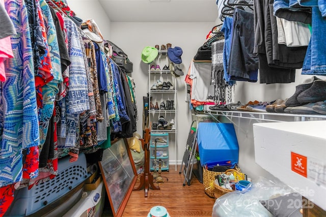 walk in closet with wood-type flooring