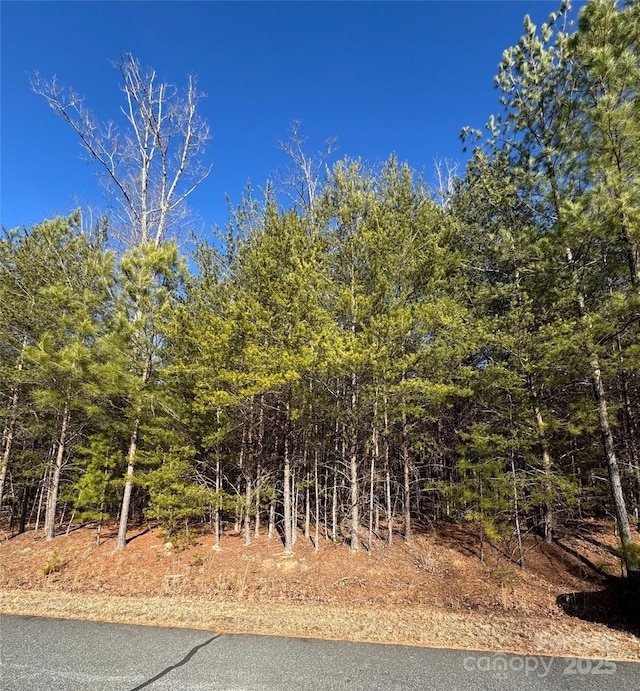 00 N Dakota Dr Unit 321, Rutherfordton NC, 28139 land for sale