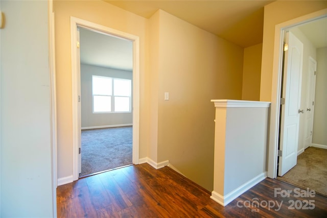 corridor featuring dark hardwood / wood-style flooring