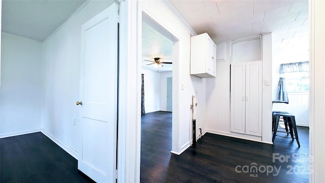 hallway with crown molding and dark hardwood / wood-style floors