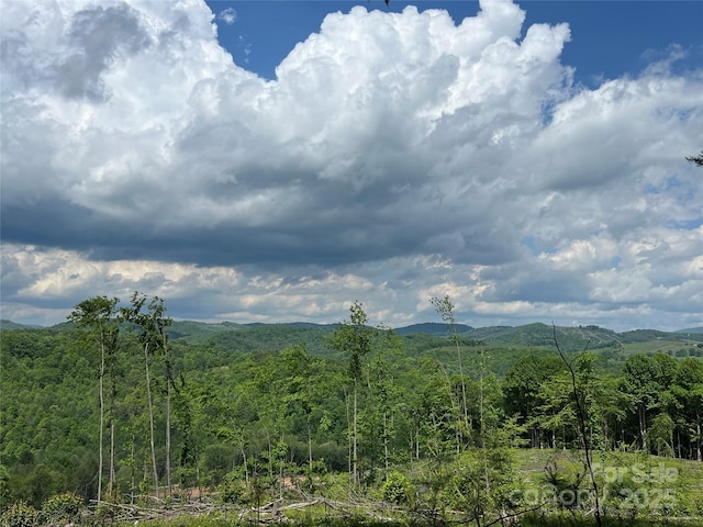 TBD Maines Hill Ln, Scottville, NC 28663 - photo 1