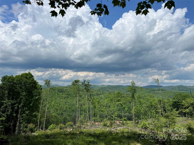 TBD Maines Hill Ln, Scottville, NC 28663 - photo 6