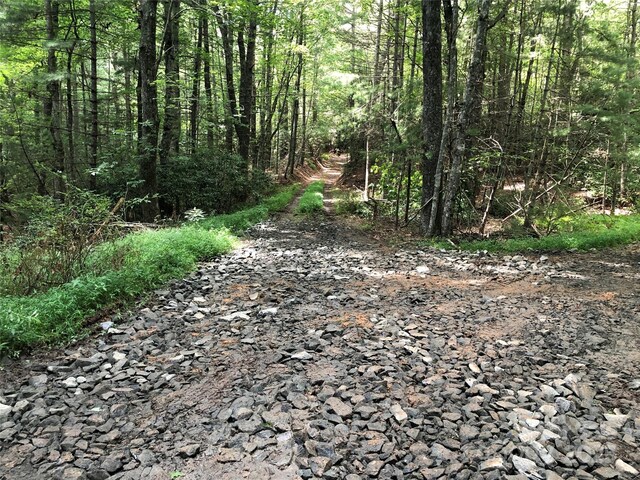 TBD Maines Hill Ln, Scottville, NC 28663 - photo 13