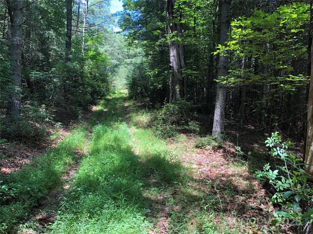 TBD Maines Hill Ln, Scottville, NC 28663 - photo 16