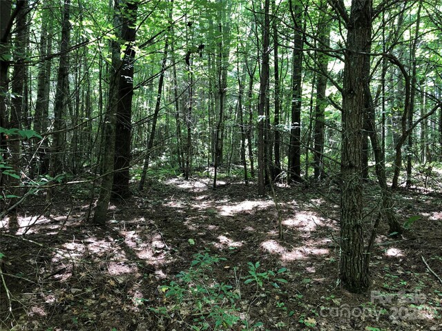 TBD Maines Hill Ln, Scottville, NC 28663 - photo 18