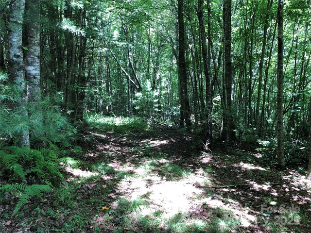 TBD Maines Hill Ln, Scottville, NC 28663 - photo 19