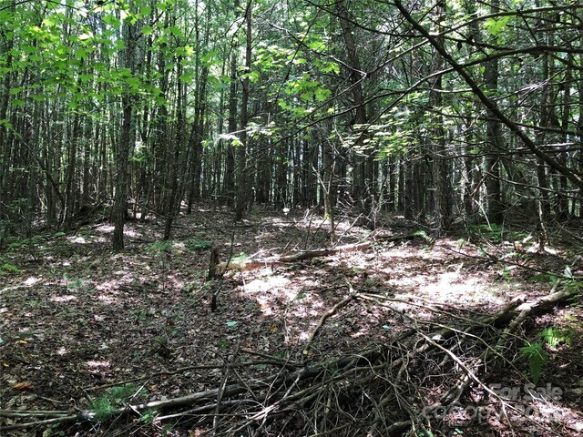 TBD Maines Hill Ln, Scottville, NC 28663 - photo 20